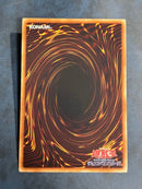 Yu-Gi-Oh! Ocg Duel Monsters (Japanese) Ptdn-Jp016