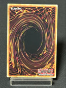Yu -Gi -Oh! Ocg Duel Monsters Eu 25Th 1St