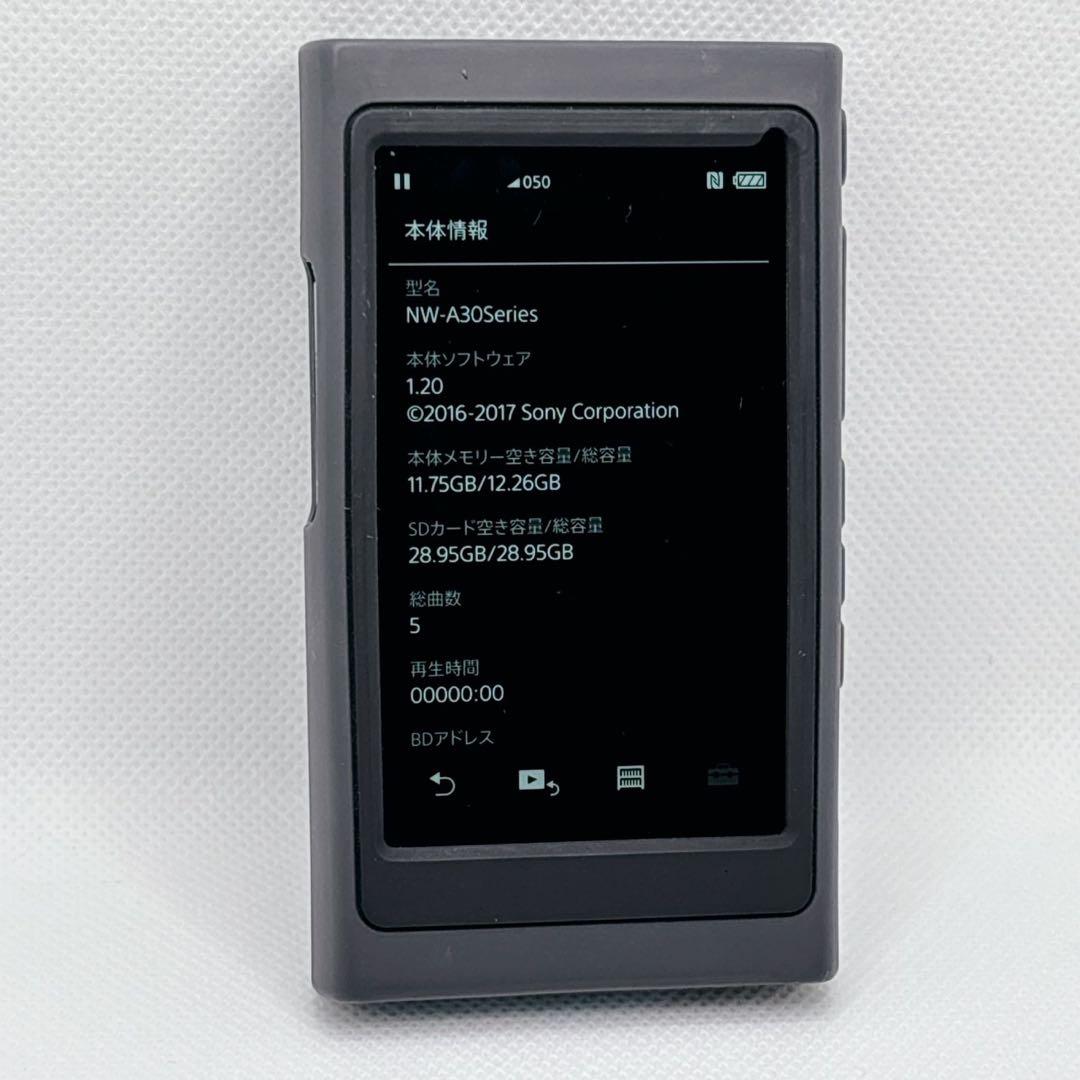 Sony Digital Audio Player Walkman Nw-A35 16Gb 32Gb Sd