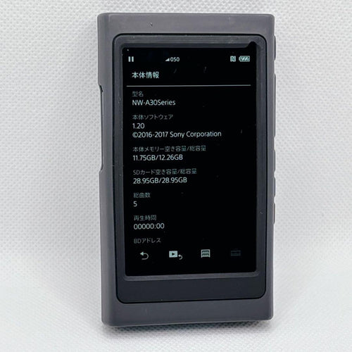 Sony Digital Audio Player Walkman Nw-A35 16Gb 32Gb Sd