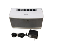 Roland Guitar Amplifier Cube Lite Monitor