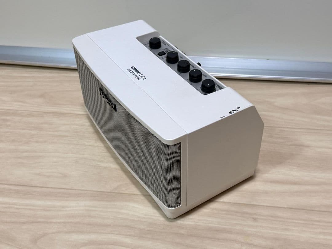 Roland Guitar Amplifier Cube Lite Monitor