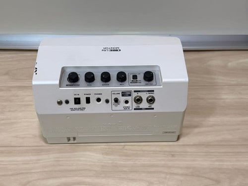 Roland Guitar Amplifier Cube Lite Monitor