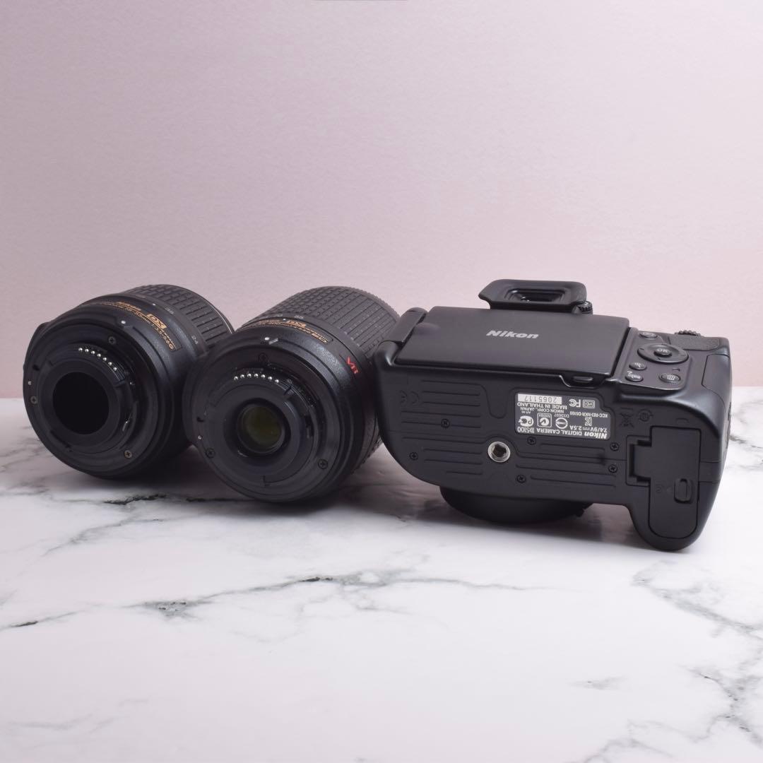 Nikon Digital Slrs D5100