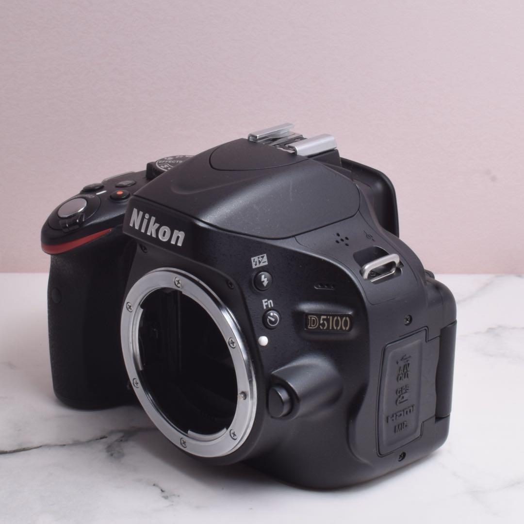 Nikon Digital Slrs D5100