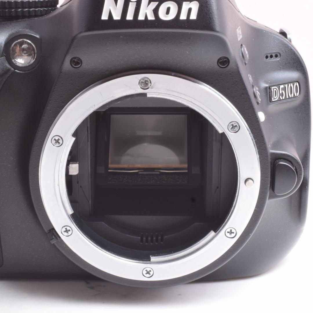 Nikon Digital Slrs D5100