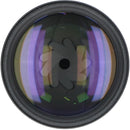 Nikon Lens (Single Focus)