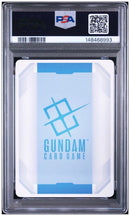 Other Psa10