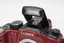 Mirrorless Interchangeable Lips Panasonic Lumix Dmc-G1 260319Ay
