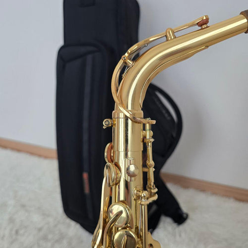 Yamaha Saxophones Yas-24 Protec