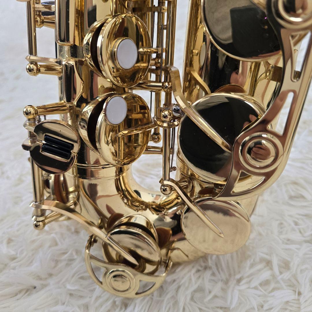 Yamaha Saxophones Yas-24 Protec