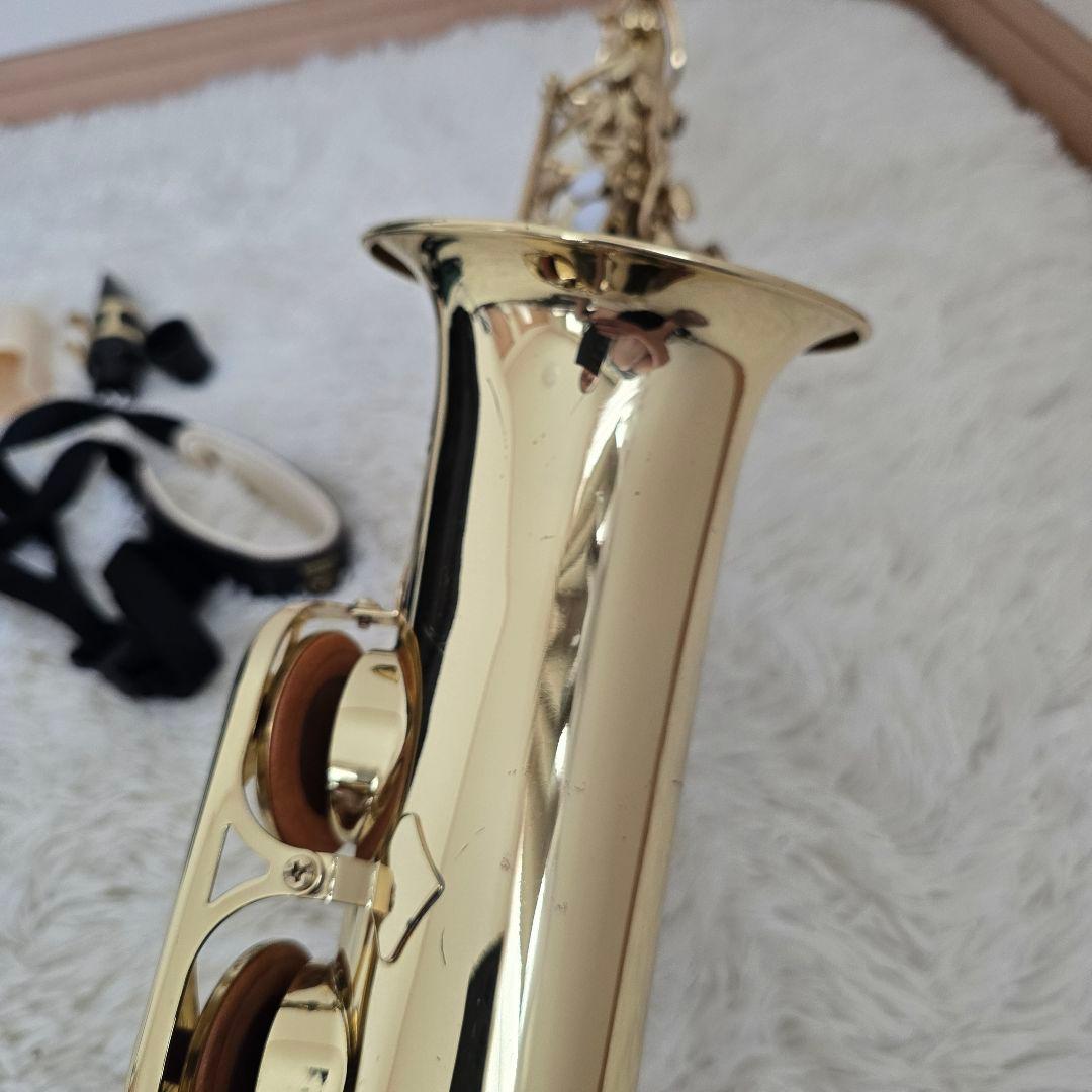 Yamaha Saxophones Yas-24 Protec