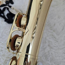 Yamaha Saxophones Yas-24 Protec