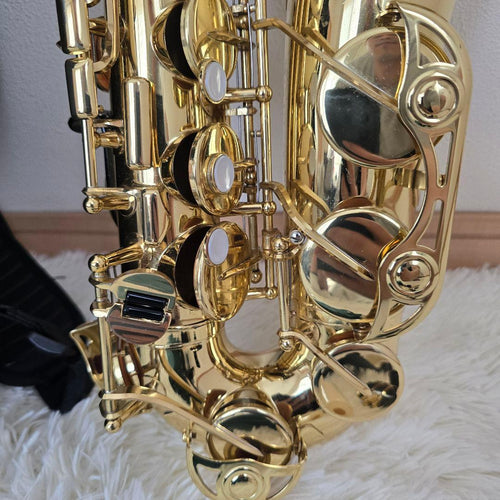 Yamaha Saxophones Yas-24 Protec