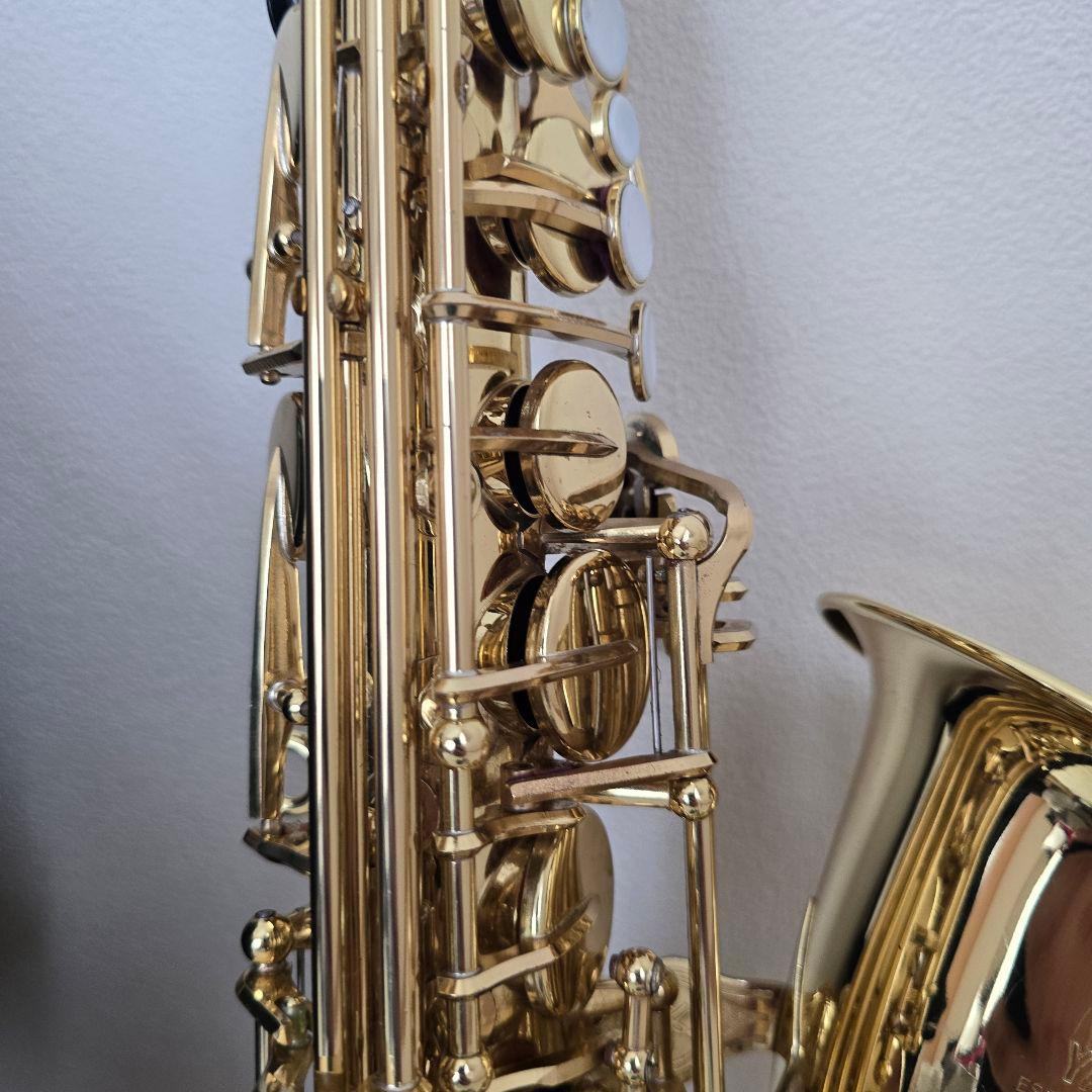 Yamaha Saxophones Yas-24 Protec