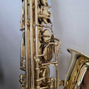 Yamaha Saxophones Yas-24 Protec