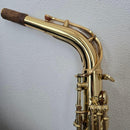 Yamaha Saxophones Yas-24 Protec