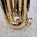 Yamaha Saxophones Yas-24 Protec