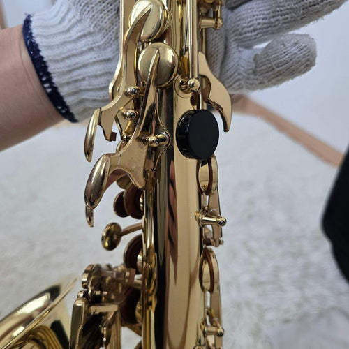 Yamaha Saxophones Yas-24 Protec