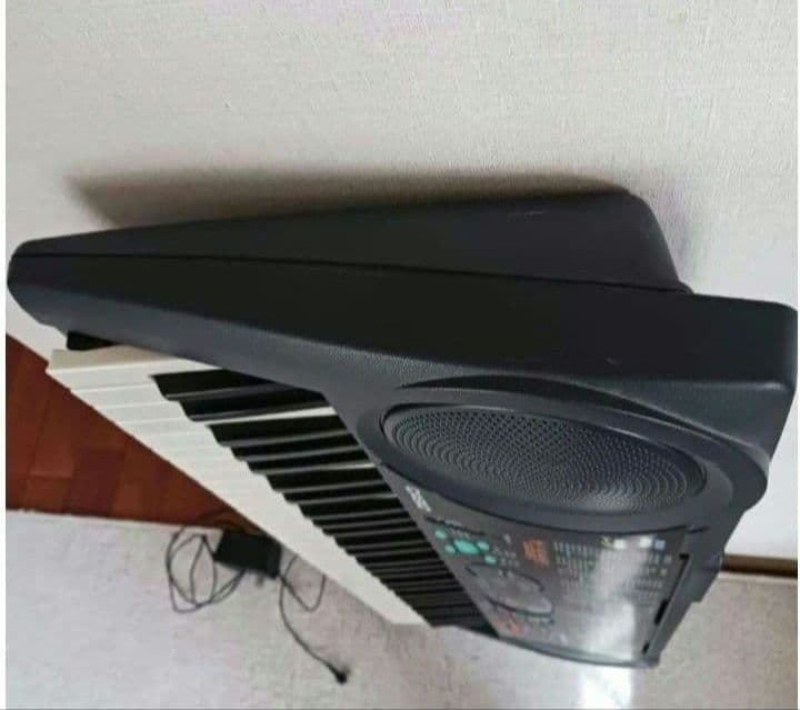 Casio Keyboards Digital Pianos Lk35
