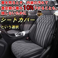 Seat Cover Gx100 3