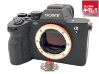 Mirrorless Interchangeable Lips 7 Iv [Ilce-7M4]
