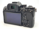 Mirrorless Interchangeable Lips 7 Iv [Ilce-7M4]