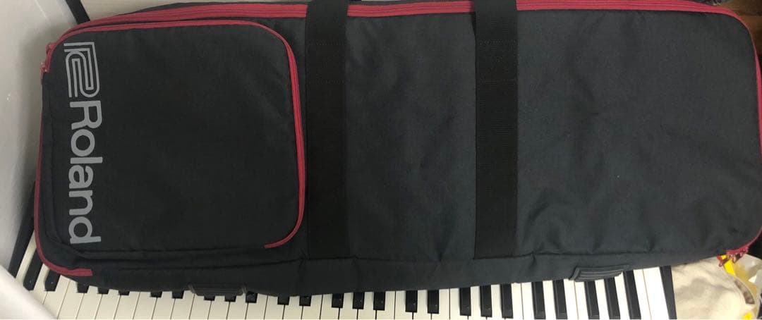 Roland Keyboard Electronic Piano Go:Piano Go-61P