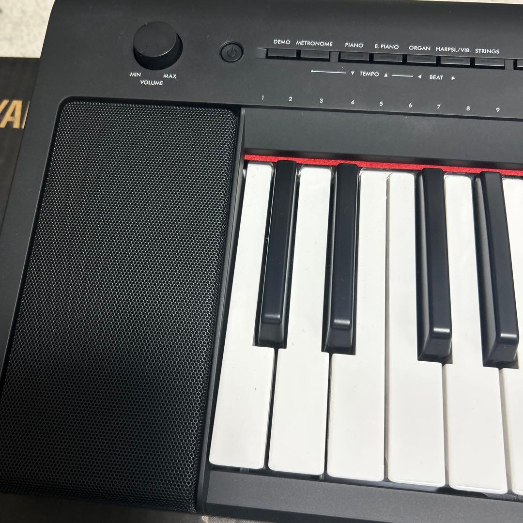 Yamaha Keyboards Digital Pianos Piaggero Np-15