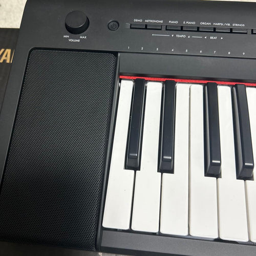 Yamaha Keyboards Digital Pianos Piaggero Np-15