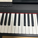 Yamaha Keyboards Digital Pianos Piaggero Np-15