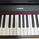 Yamaha Keyboards Digital Pianos Piaggero Np-15