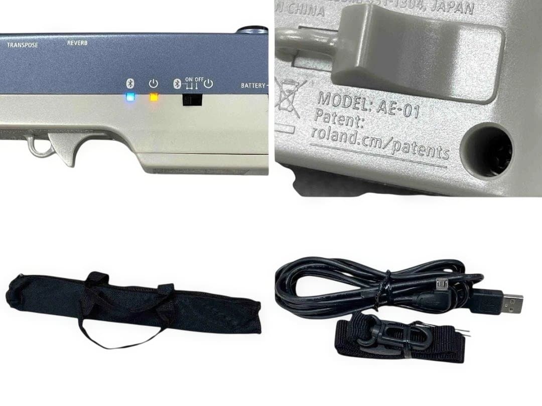 Roland Other Aerophone Mini Ae-01