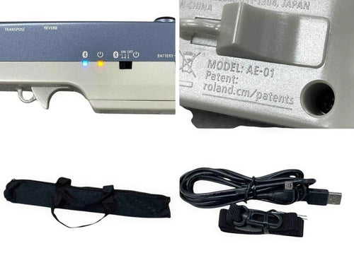 Roland Other Aerophone Mini Ae-01