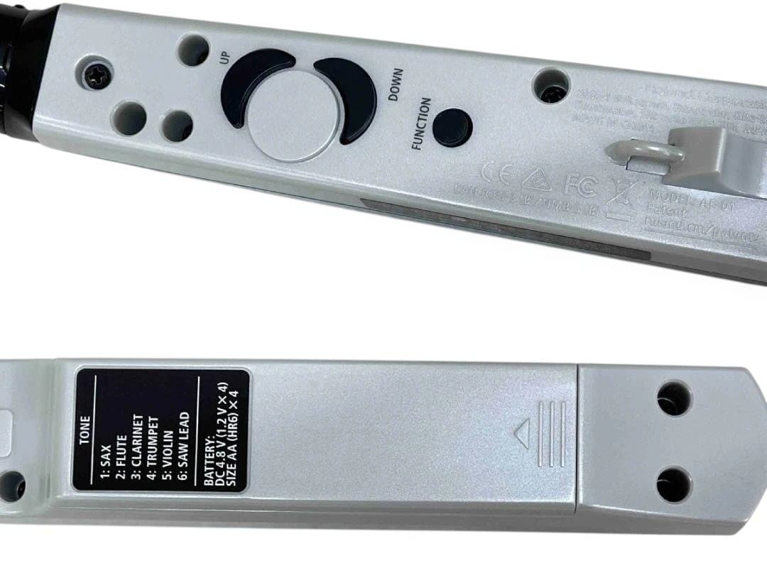 Roland Other Aerophone Mini Ae-01