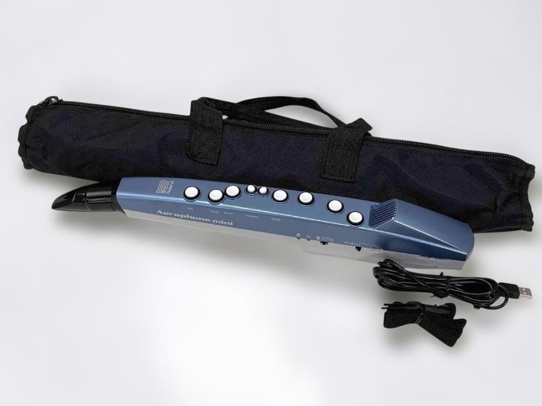 Roland Other Aerophone Mini Ae-01
