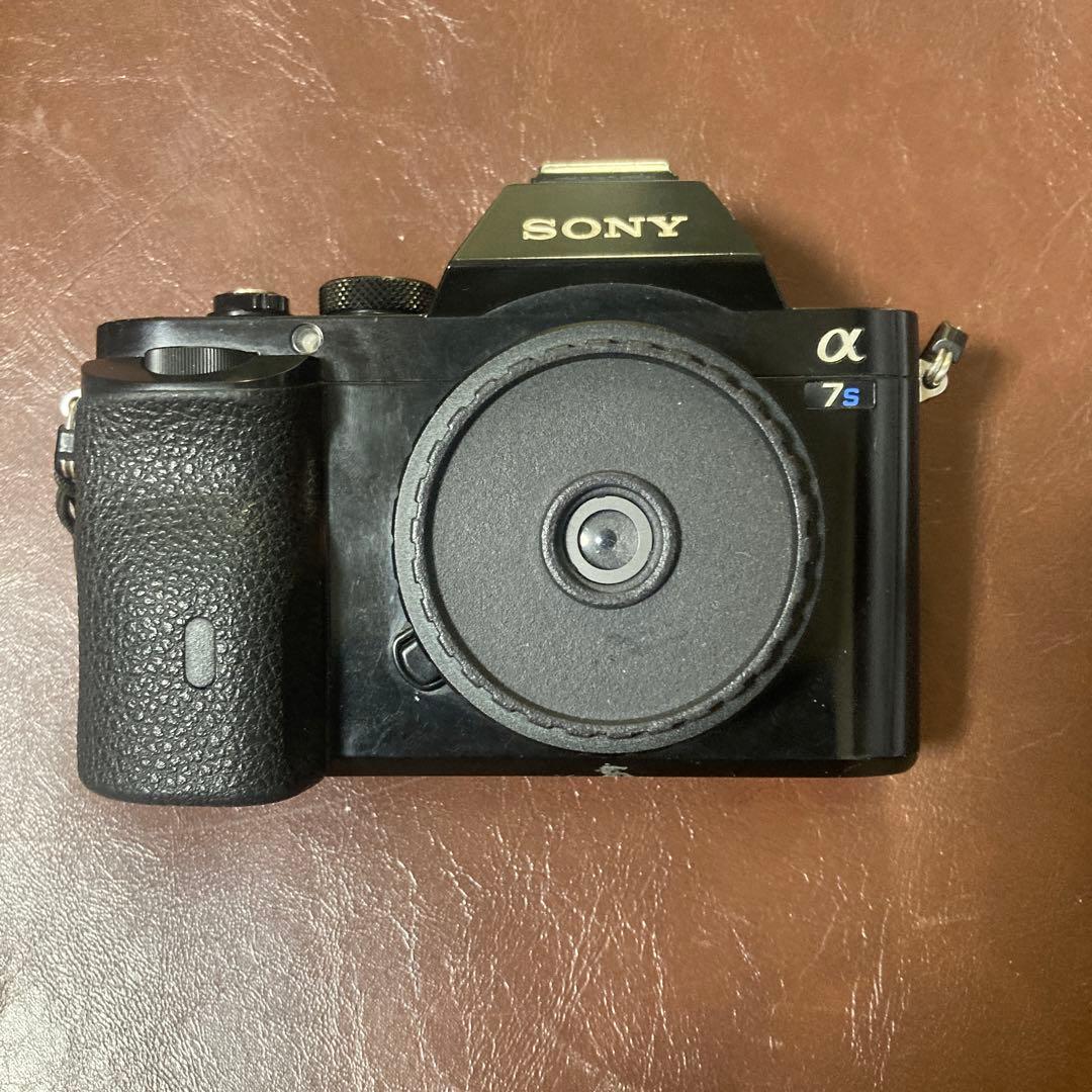 Sony Mirrorless Interchangeable Lens Cameras 7S