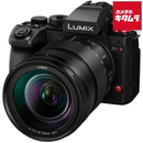 Mirrorless Interchangeable Lips Lumix Dc-S1Rm2M