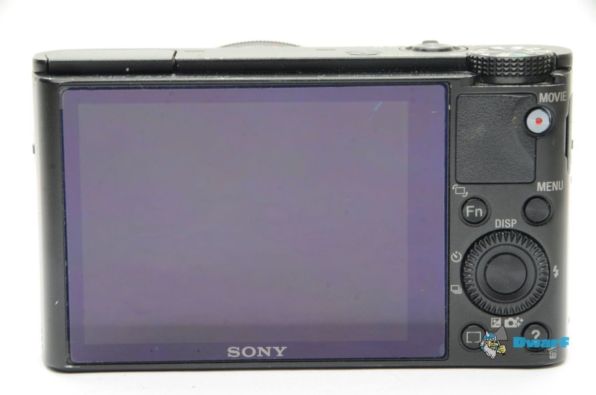 Sony Compact Digital Camera Cyber-Shot Dsc-Rx100