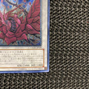 Yu-Gi-Oh! Ocg Duel Monsters (Japanese) Csoc-Jp039