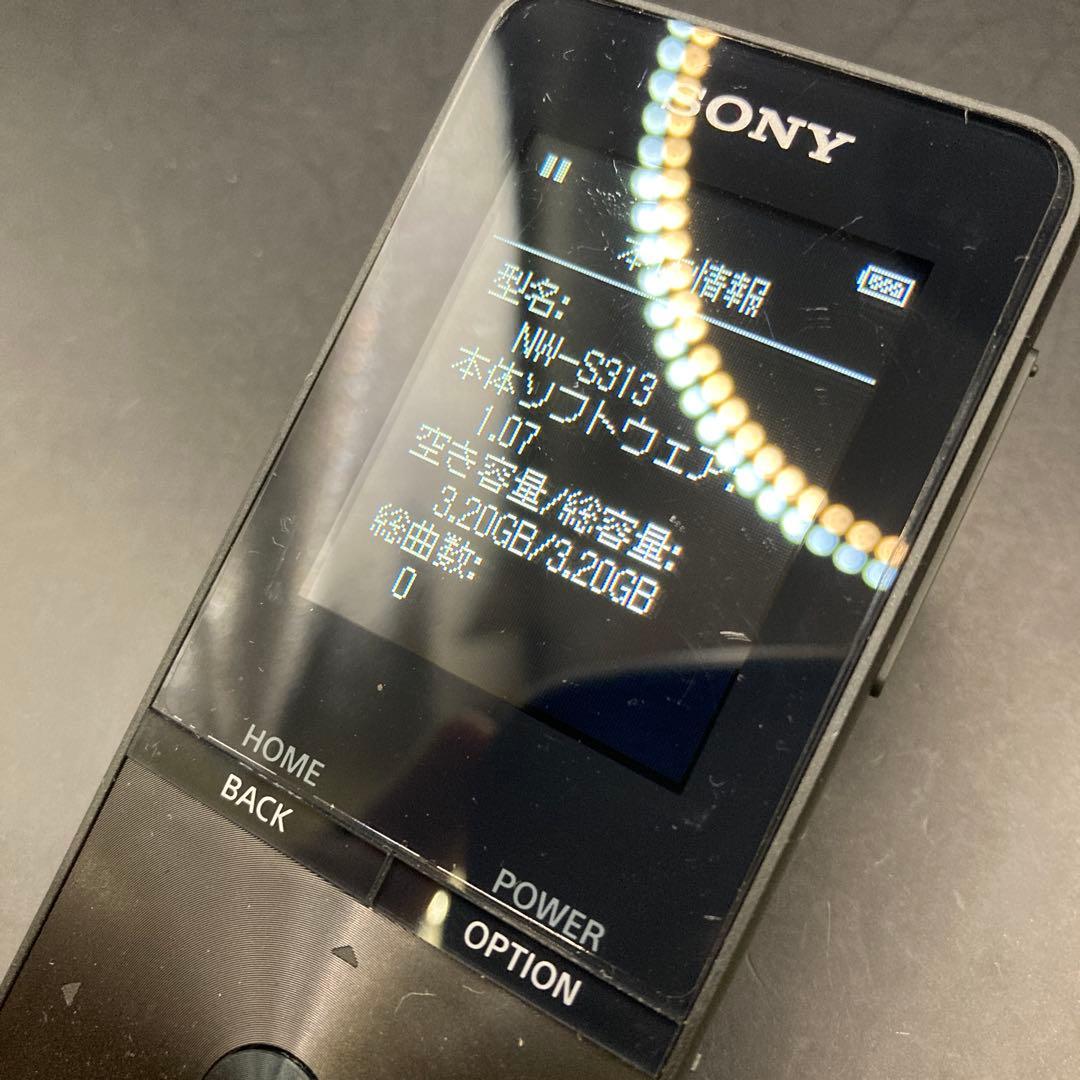Sony Other Nw-S313