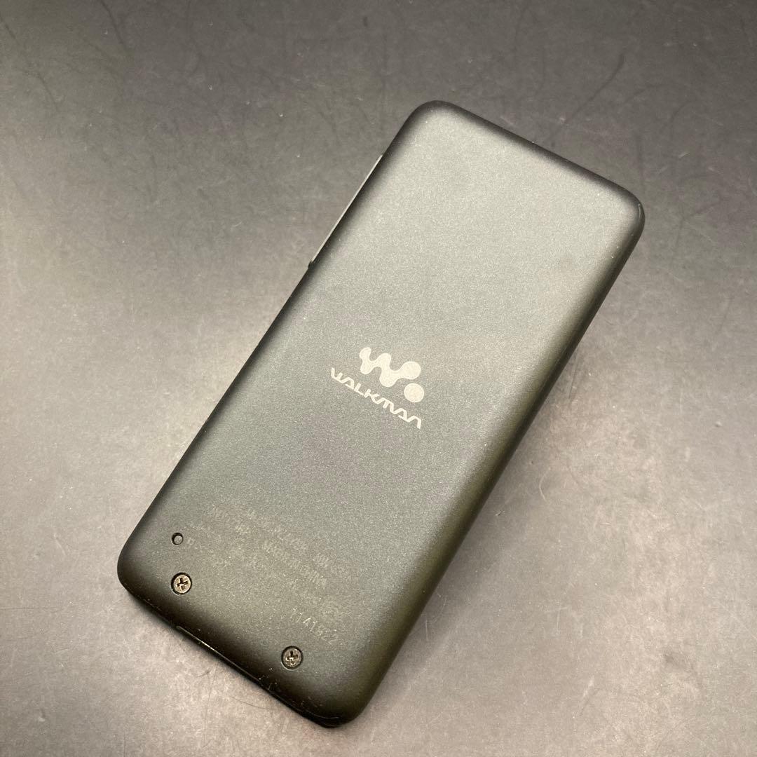 Sony Other Nw-S313
