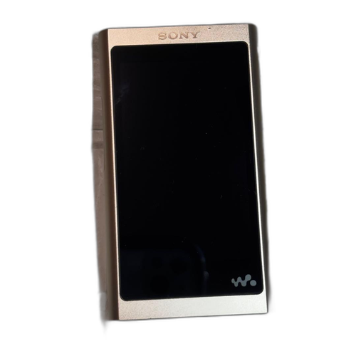 Sony Digital Audio Player Nw-A55 16Gb