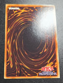 Yu-Gi-Oh! Ocg Duel Monsters (Japanese)