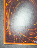 Yu-Gi-Oh! Ocg Duel Monsters (Japanese)