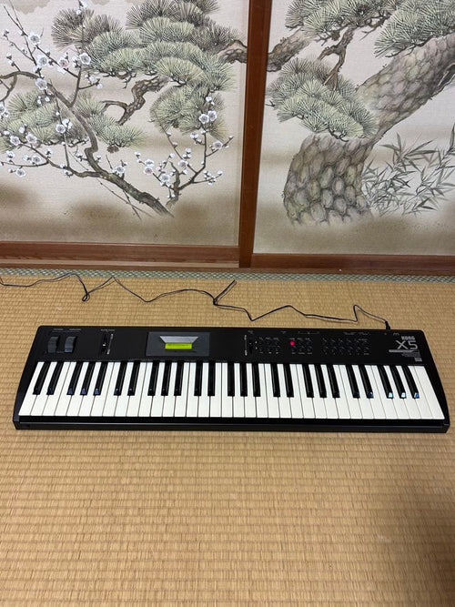 Korg Others X5