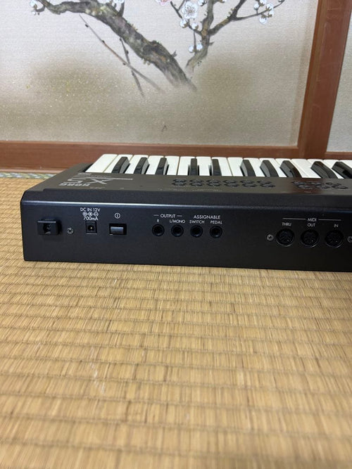Korg Others X5