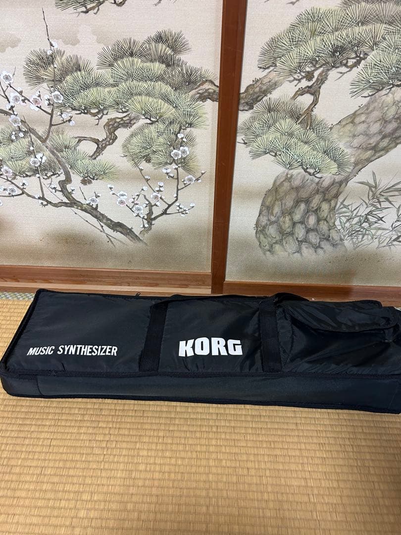 Korg Others X5