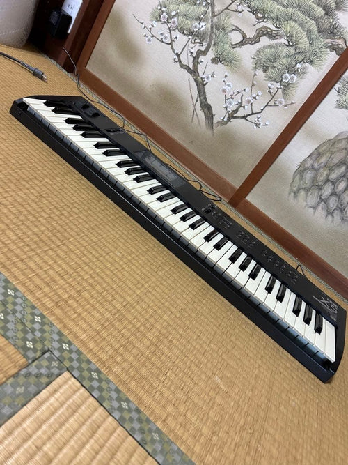 Korg Others X5