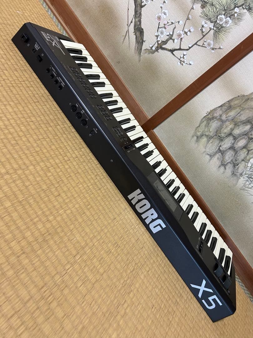 Korg Others X5